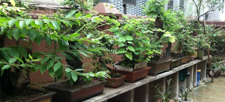 桐庐绿园农家民宿图片