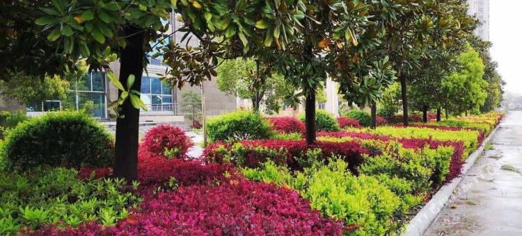 武穴武月国际大酒店图片