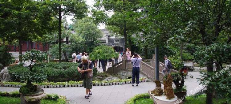 都江堰春春客栈图片