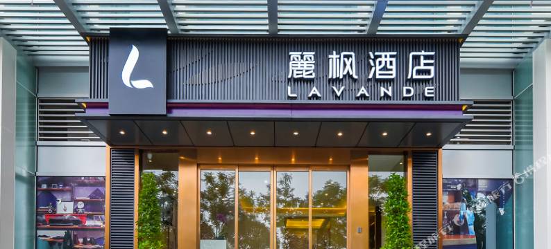 麗枫酒店(重庆龙头寺火车北站店)图片