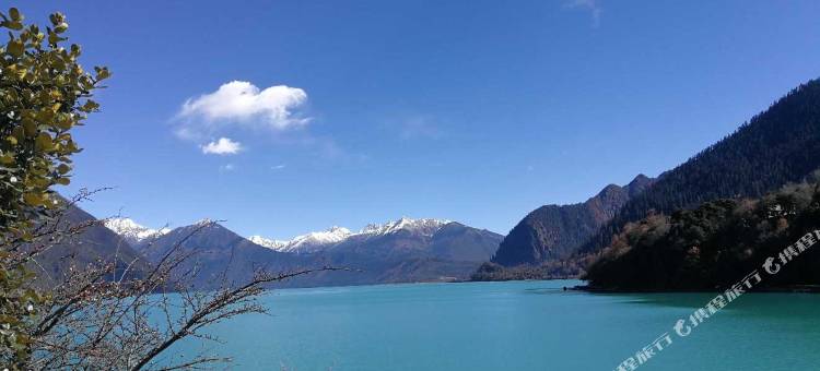 林芝柏栎荟舍酒店图片