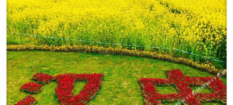 汉中艾斯骊风酒店(汉中高铁站中心广场店)图片