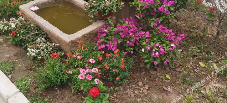 上海玖间花园别墅酒店图片