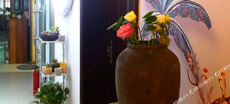 成都青柠宜家青旅图片