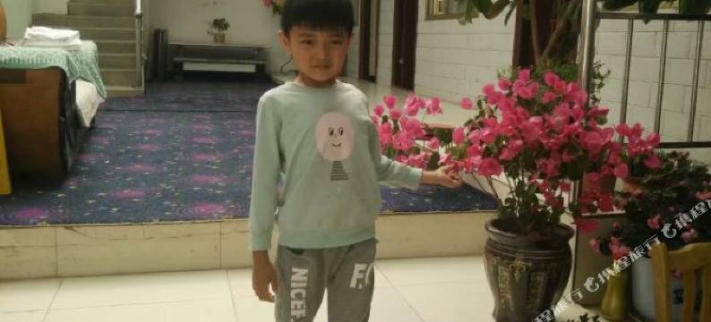 祁连青松宾馆图片