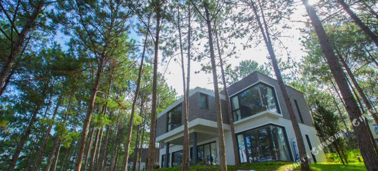 大叻特拉可塔酒店及度假村(Terracotta Hotel & Resort Dalat)图片