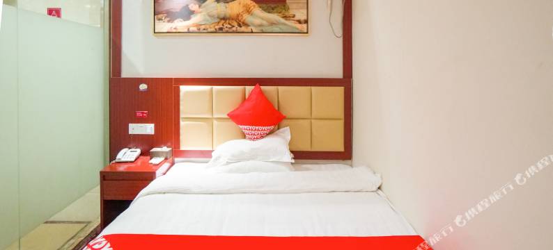 桐城桐乐宾馆图片