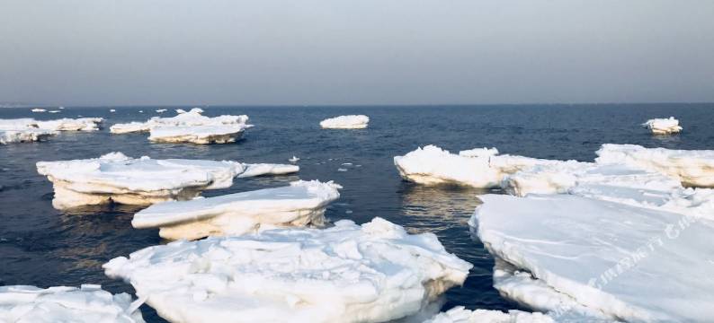 昌黎金海渔村农家院图片