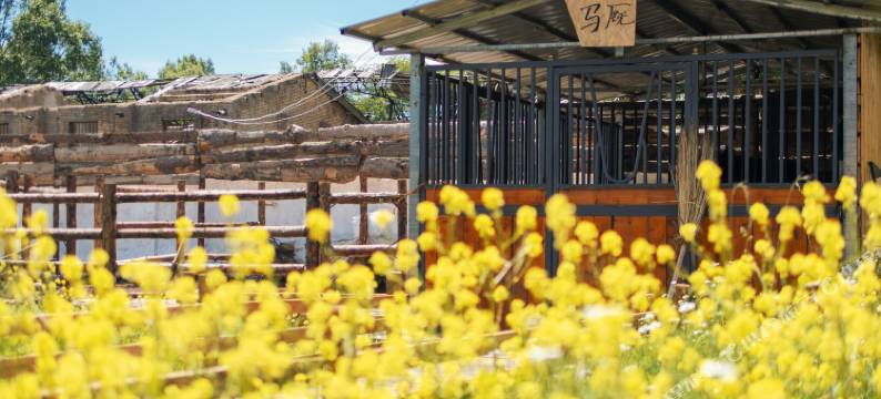 昭苏马厩里民宿·Mewsinn｜萌宠咖啡·度假院子图片