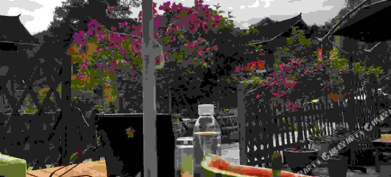 梵净山小龙山庄图片