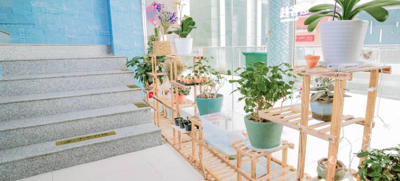 半步距离主题客栈(南京仙林大学城店)图片