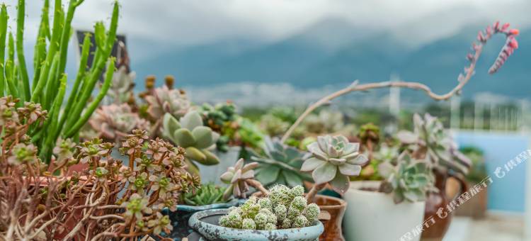 大理兴穆观山客栈图片