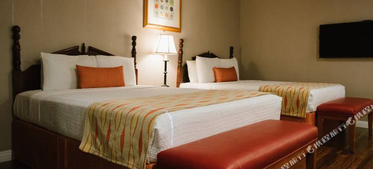 阿拉莫会展中心套房酒店(Alamo Inn and Suites - Convention Center)图片