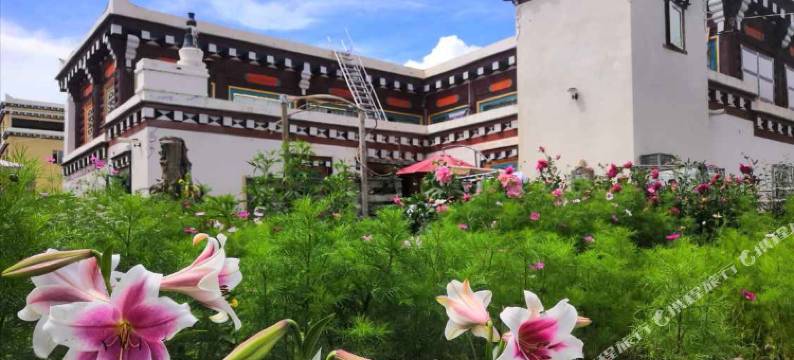 道孚拉姆藏家客栈图片