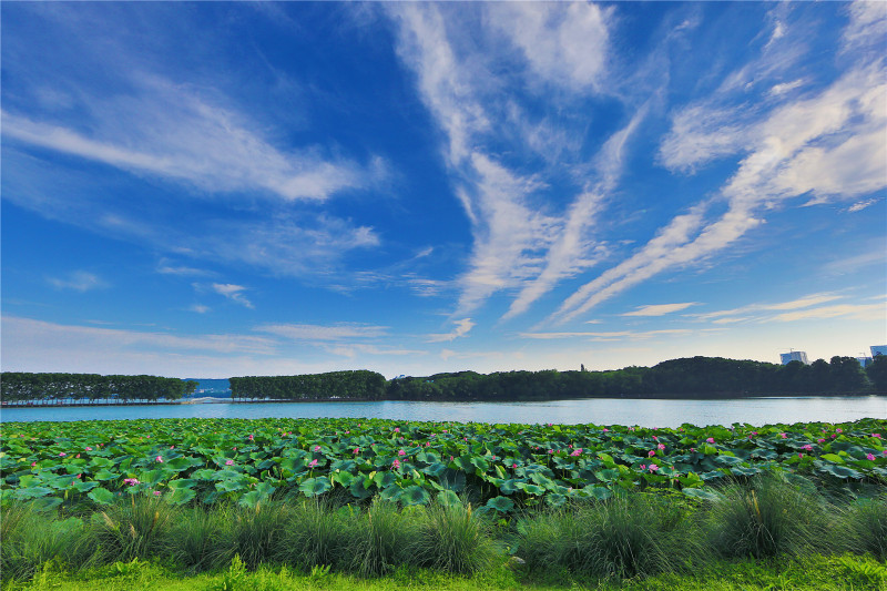 East Lake Hotel WuhanOver view
