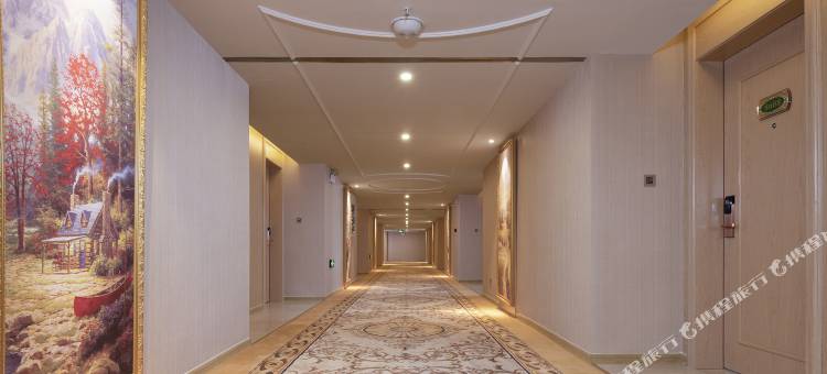 维也纳酒店(太和百太星马国际店)图片