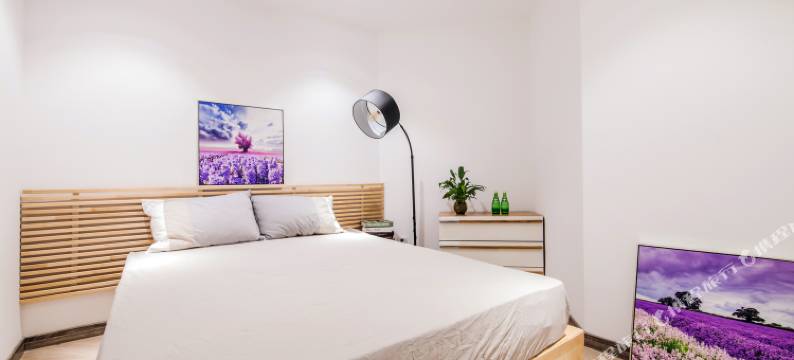 上海清风明月夜公寓(嵩山路分店)图片