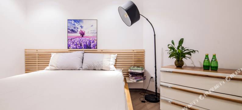 上海清风明月夜公寓(嵩山路分店)图片