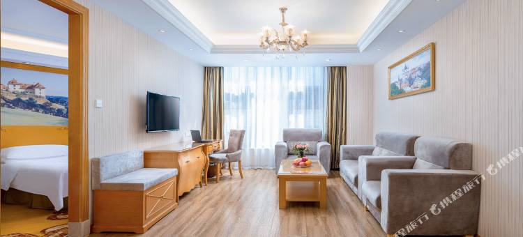 维也纳酒店(安庆光彩七街店)图片