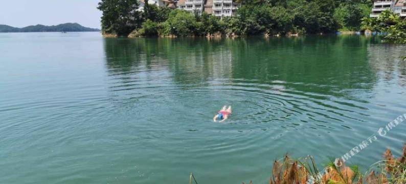 千岛湖凤凰公馆图片