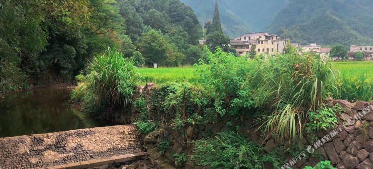 武义乡悦星宿民宿图片