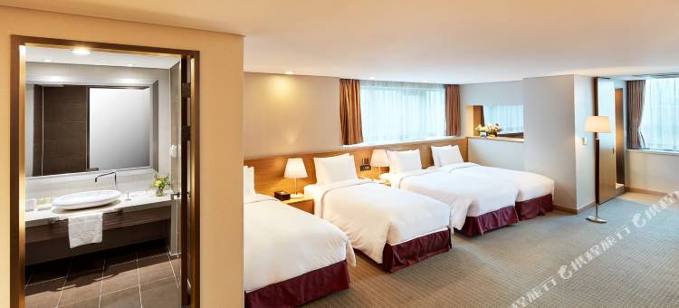 明洞PJ酒店(Hotel PJ Myeongdong)图片