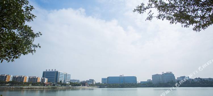 OYO厦门海宿顺风客栈图片