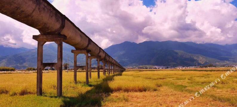 大理九只猫驿站图片