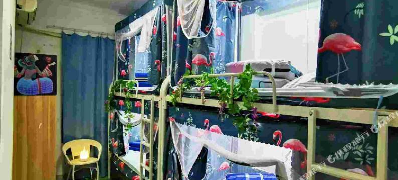 深圳K·8青年旅舍图片