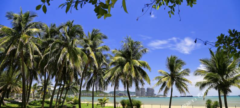 三亚逸海苑度假公寓图片