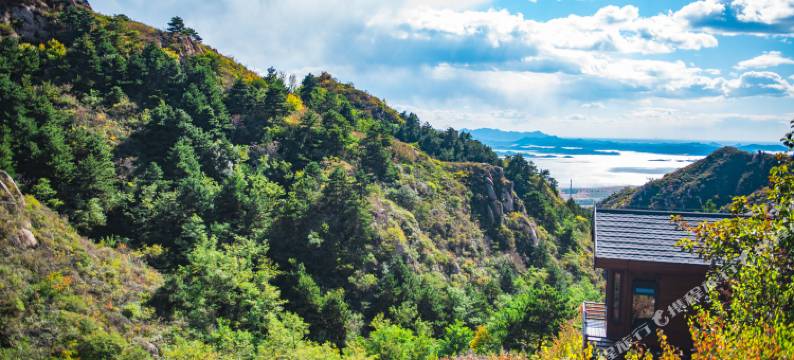 云峰山童话树屋图片