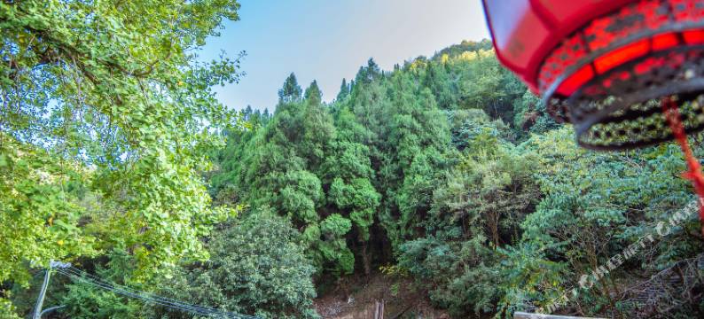 婺源石城通源精品民宿图片