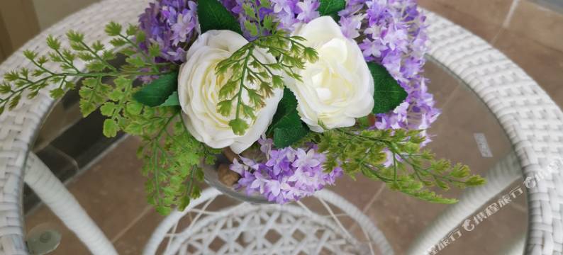 北海萌宠观海民宿(2号店)图片