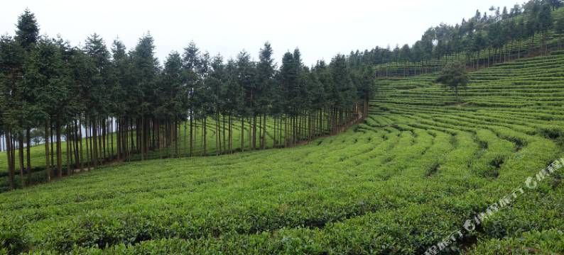 渠县秀岭春天酒店图片