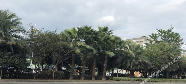 河池金沙假日酒店图片