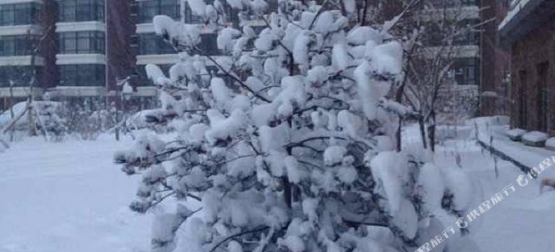 张家口雪镇民宿图片