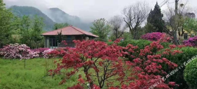 罗源畲家湾度假村图片