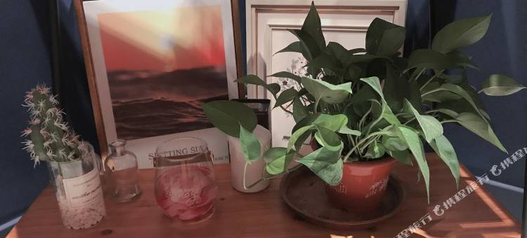 天津张蕊公寓(2号店)图片