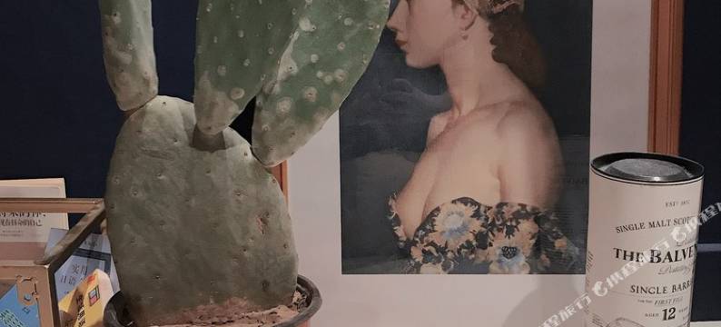 天津张蕊公寓(2号店)图片