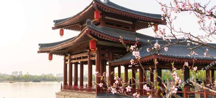 OYO西安西京快捷宾馆图片