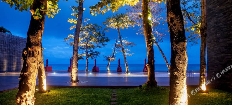 图书馆酒店(The Library)图片