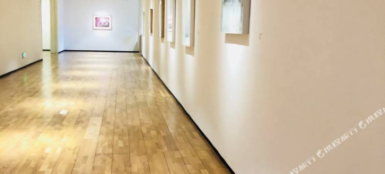 重庆罗马精品酒店图片