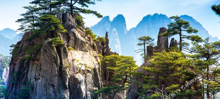 遇见·未迟民宿(黄山景区汤口南大门店)图片