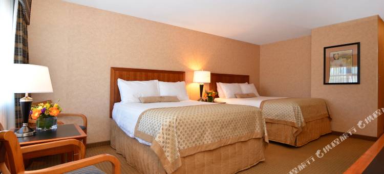 兰利贝斯特韦斯特优质酒店(Best Western Plus Langley Inn)图片