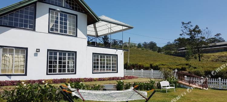 茶园酒店(The Tea Garden)图片