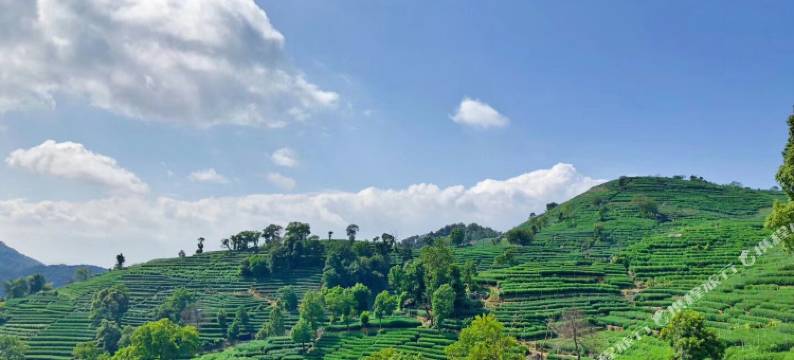 朵一·法式小墅(西湖景区店)图片