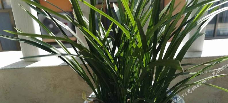 花水湾莯云酒店图片