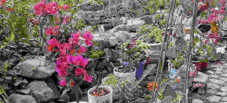 云水谣老墙农家乐图片