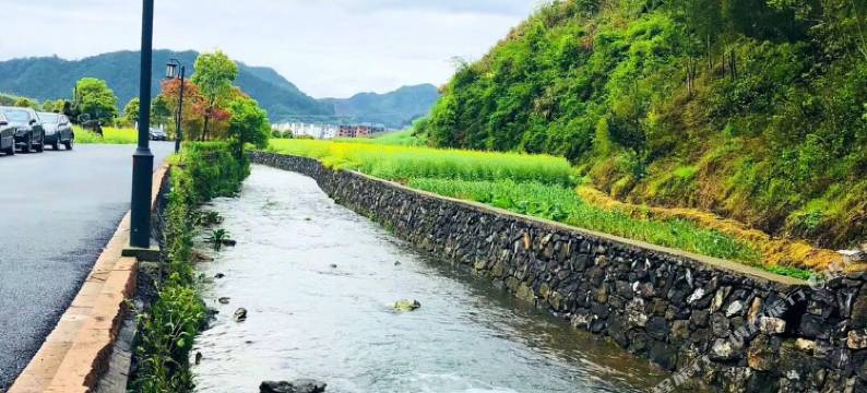 淳安神山脚农家乐图片