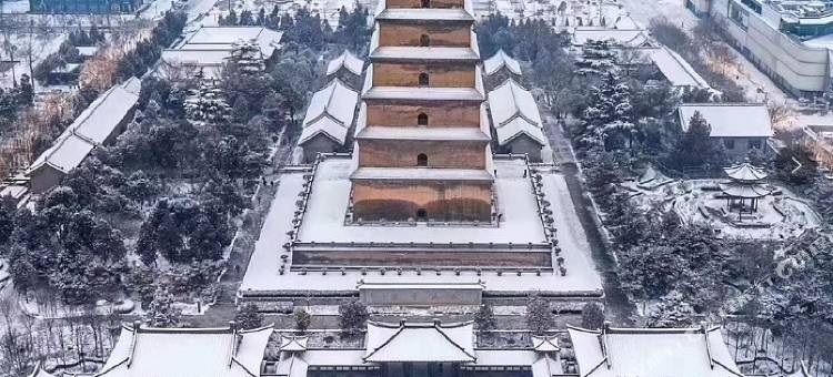 维也纳国际酒店(西安大雁塔大唐不夜城店)图片